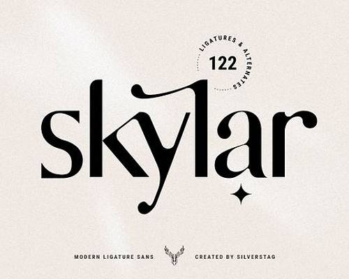 creative sans serif typography