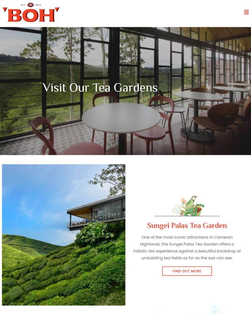 tea website design 